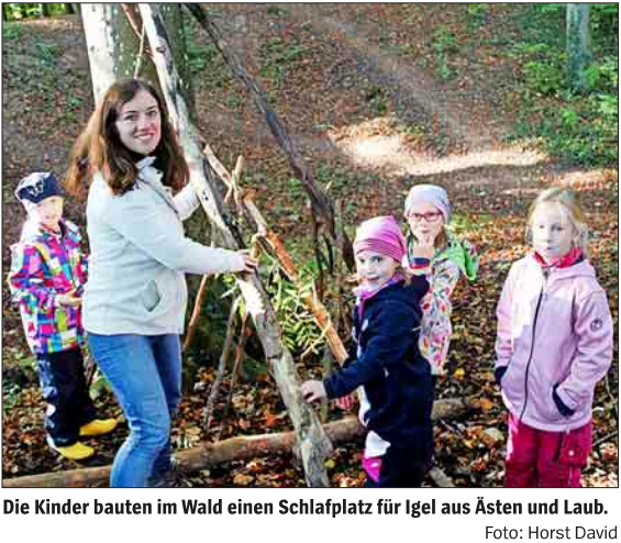 20191031 KWB Weichgebettet auf Laub und Moos