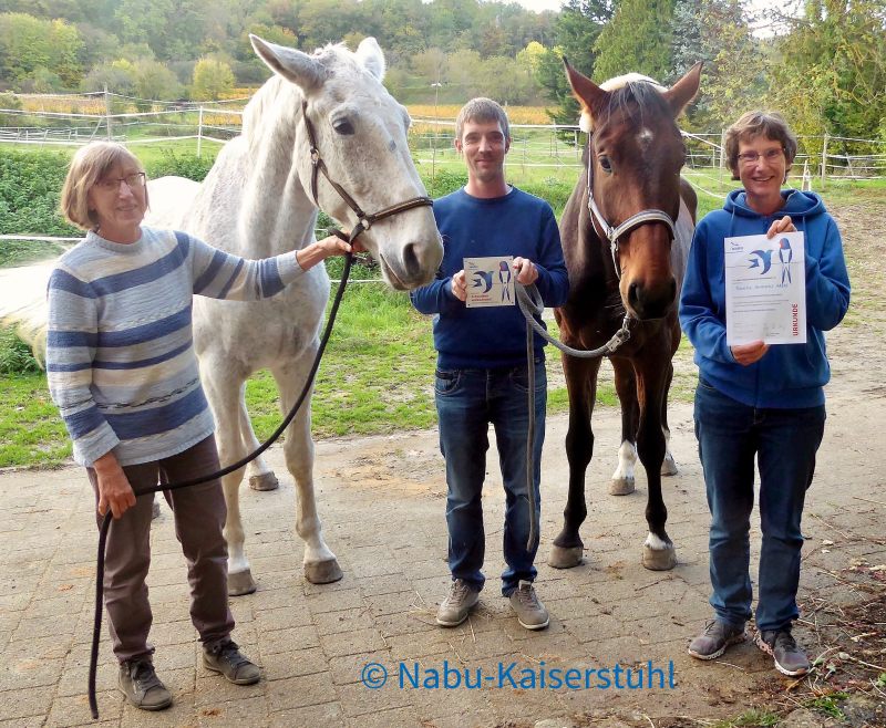 20221024_SfH_Bahlingen